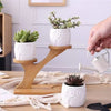 Bamboe Plantenstandaard 2 - Laags – Plantenrek Binnen – Duurzame Plantentafel – Compact & Stijlvol – Houten Plant Shelf - inHype